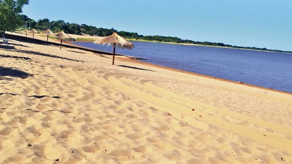 Sirena del Sur