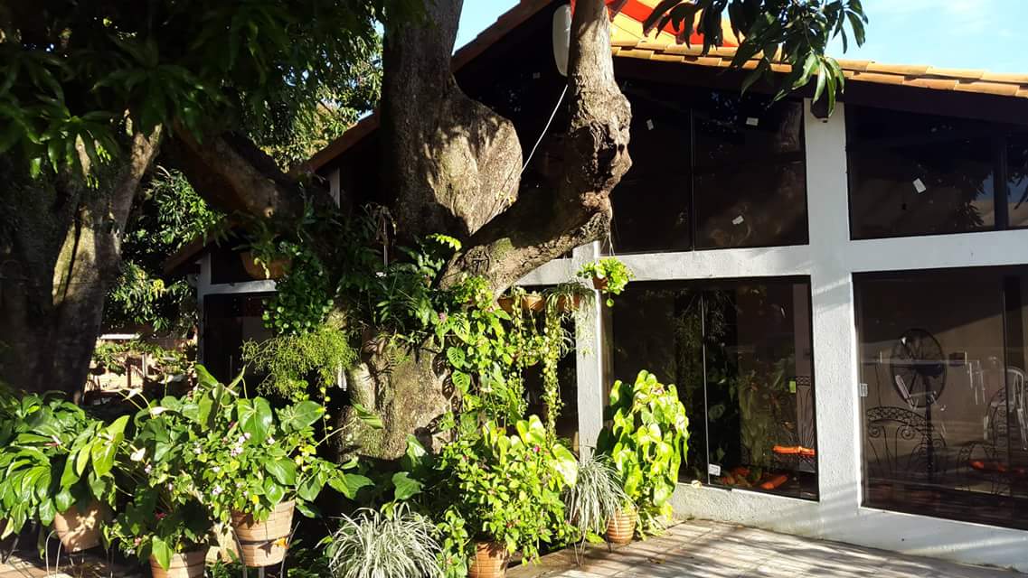 Posada RM (Ayolas)